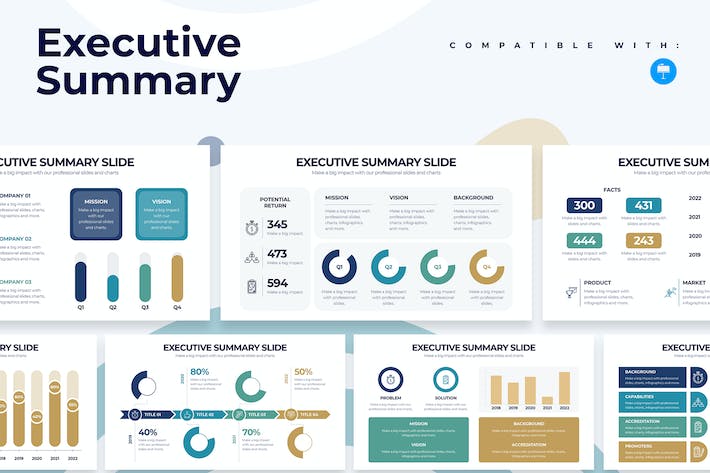 商业项目执行总结报告(Executive Summary)管理层汇报Keynote模板 - 乐喵办公
