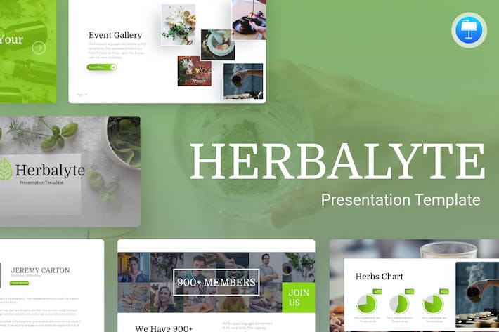 中医药行业研究报告与中草药科学种植技术Keynote模板 - 乐喵办公