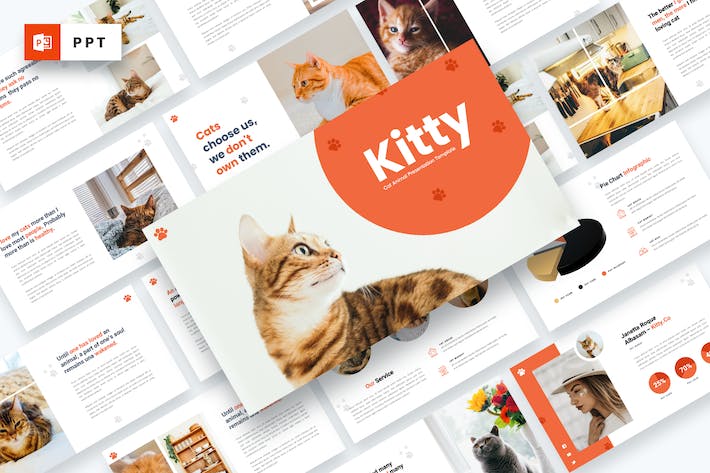宠物猫品种百科科普、宠物护理与动物医学知识推广PPT模板 - 乐喵办公