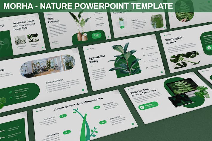 绿色生态植物百科科普、园林景观绿化方案与自然环境展示Powerpoint模板 - 乐喵办公